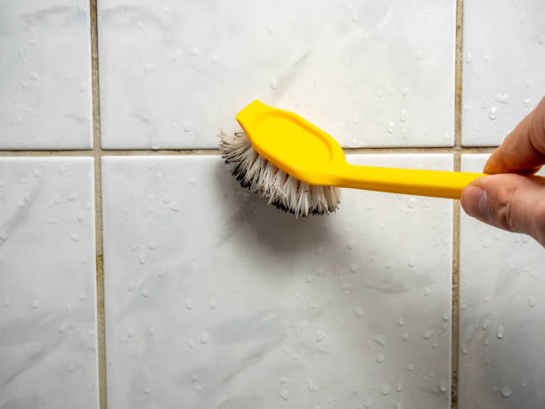 Best Same-Day Mold Removal  in Woodmore, MD
