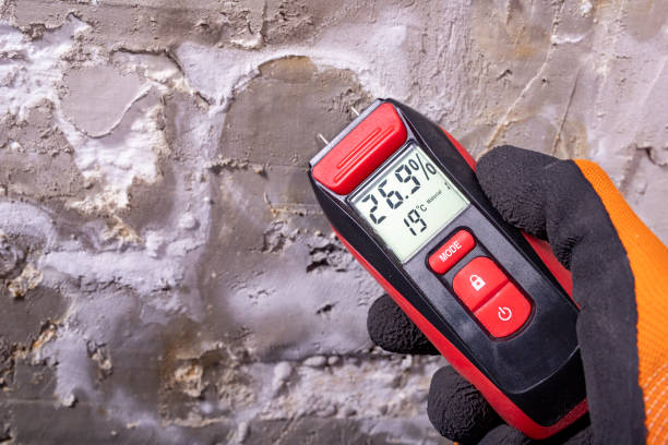 Best Local Mold Removal Service  in Woodmore, MD
