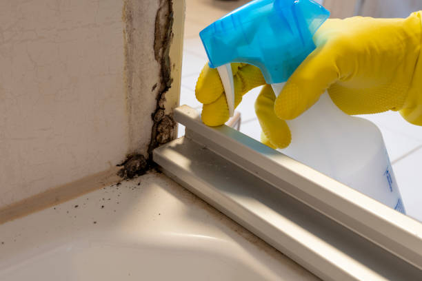 Best Mold Cleaning Services  in Woodmore, MD