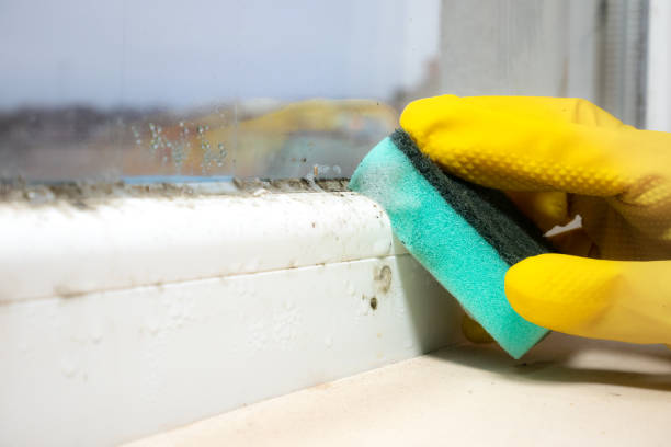 Best Residential Mold Removal  in Woodmore, MD