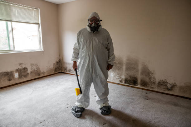 Best Residential Mold Removal  in Woodmore, MD